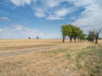 a dirt road is running between some trees in the grass in a field near the water