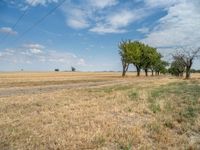 a dirt road is running between some trees in the grass in a field near the water