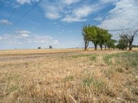 a dirt road is running between some trees in the grass in a field near the water