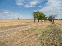 a dirt road is running between some trees in the grass in a field near the water