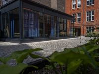 several plants sit in decorative concrete planters along the sidewalk of a building that is very modern