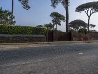 European Charm in Porto: Cobblestone Roads