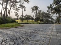European Charm in Porto: Cobblestone Streets