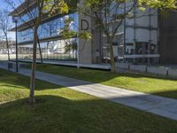 a paved path with trees along the grass next to a building and two buildings in the distance