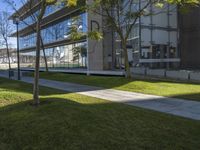 a paved path with trees along the grass next to a building and two buildings in the distance