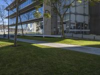 a paved path with trees along the grass next to a building and two buildings in the distance