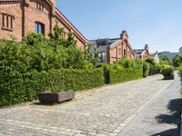 a brick street lined with brick benches next to tall buildings and greenery that line the sides