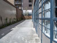 a paved path between two buildings leading in opposite directions with windows in it and a cat standing on one side of the street