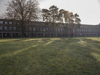 a grassy area with several trees and a building in the distance in sunlight light rays