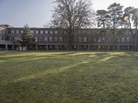 a grassy area with several trees and a building in the distance in sunlight light rays