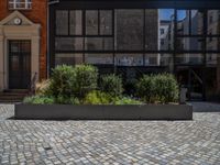 several plants sit in decorative concrete planters along the sidewalk of a building that is very modern