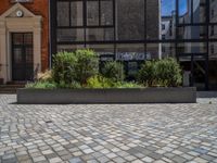 several plants sit in decorative concrete planters along the sidewalk of a building that is very modern