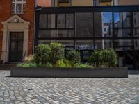 several plants sit in decorative concrete planters along the sidewalk of a building that is very modern