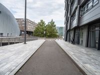 an empty paved sidewalk next to buildings in the city, with several trees on either side