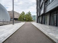 an empty paved sidewalk next to buildings in the city, with several trees on either side