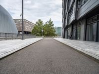 an empty paved sidewalk next to buildings in the city, with several trees on either side