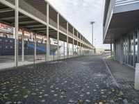 a long, empty walkway is leading to a building with parking lots on either side