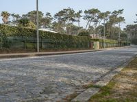 European Cityscape: Cobblestone Roads and Shadows