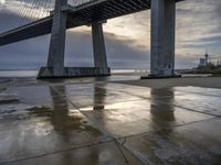 European Coastal City: Bridge and Ocean Views