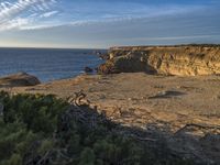 a person on the edge of a cliff at the ocean shore, watching birds on the horizon