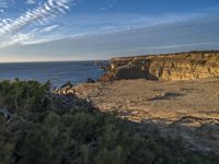 a person on the edge of a cliff at the ocean shore, watching birds on the horizon