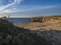 a person on the edge of a cliff at the ocean shore, watching birds on the horizon