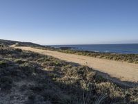 an empty sandy path with ocean in the background, next to grassy area near hill