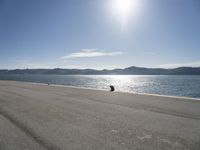 a lone dog is sitting in the sand near water with mountain range in the background