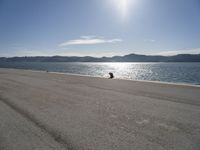 a lone dog is sitting in the sand near water with mountain range in the background