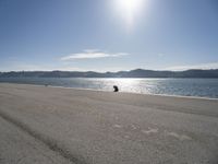 a lone dog is sitting in the sand near water with mountain range in the background