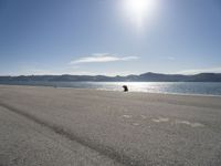 a lone dog is sitting in the sand near water with mountain range in the background