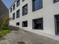 European Cobblestone Driveways in Porto's Urban Landscape