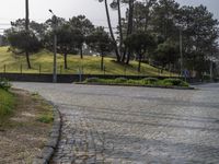 European Cobblestone Roads: Shadows on Residential Areas