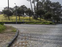 European Cobblestone Roads: Shadows on Residential Areas