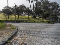 European Cobblestone Roads: Shadows on Residential Areas