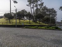 European Cobblestone Roads: Shadows on Residential Areas