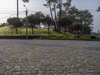 European Cobblestone Roads: Shadows on Residential Areas