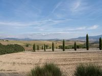 European Countryside: Clear Skies and Lush Nature