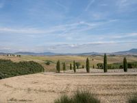 European Countryside: Clear Skies and Lush Nature