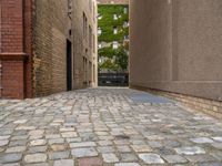 a view looking down a narrow cobblestone street in a city area with tall buildings