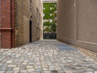 a view looking down a narrow cobblestone street in a city area with tall buildings