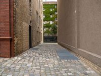 a view looking down a narrow cobblestone street in a city area with tall buildings