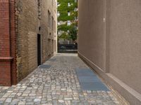 a view looking down a narrow cobblestone street in a city area with tall buildings