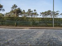 European Day: Cobblestone Road with Hard Shadows