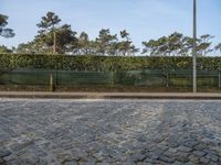 European Day: Cobblestone Road with Hard Shadows