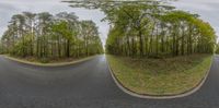 three distorted images of a road going through the woods with trees in each side of it