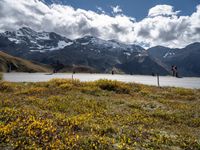 European Highlands: A Profile Against the Clouds and Green Grass