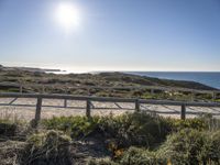 a railing in front of the ocean with a beach and sun in the distance and some bushes