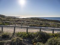 a railing in front of the ocean with a beach and sun in the distance and some bushes