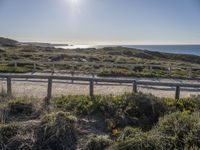 a railing in front of the ocean with a beach and sun in the distance and some bushes